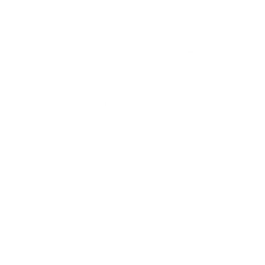 logo-catarina-advogada-03